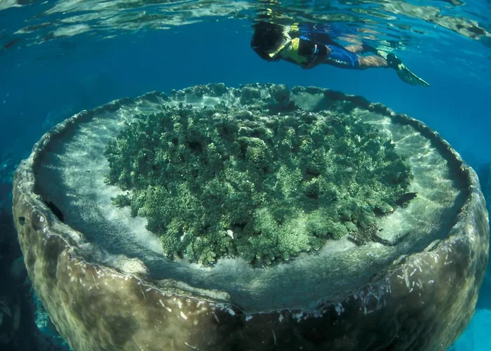 Sal Salis Ningaloo Reef