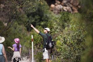 Sal Salis Ningaloo Reef Luxury tent 4*