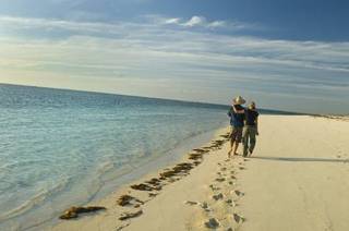 Luxury tent Sal Salis Ningaloo Reef 4*