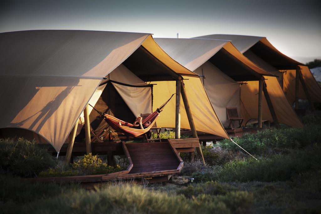 Sal Salis Ningaloo Reef Luxury tent Exmouth
