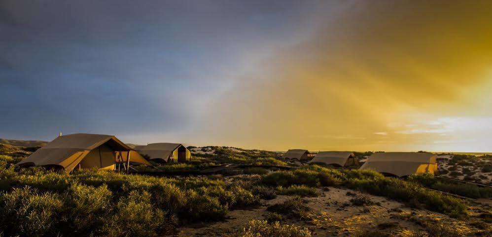Sal Salis Ningaloo Reef Luxury tent 4*