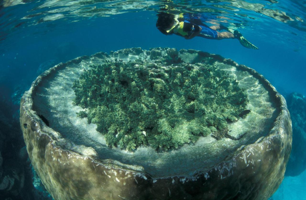 Sal Salis Ningaloo Reef 4* Exmouth